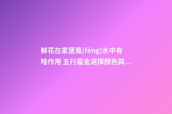 鮮花在家居風(fēng)水中有啥作用 五行屬金選擇顏色與對應(yīng)的方位風(fēng)水有